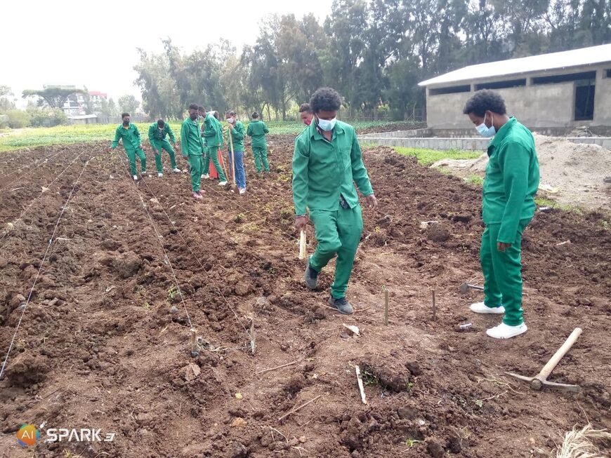 [Translate to Portuguese:] Agriculture students training in the field