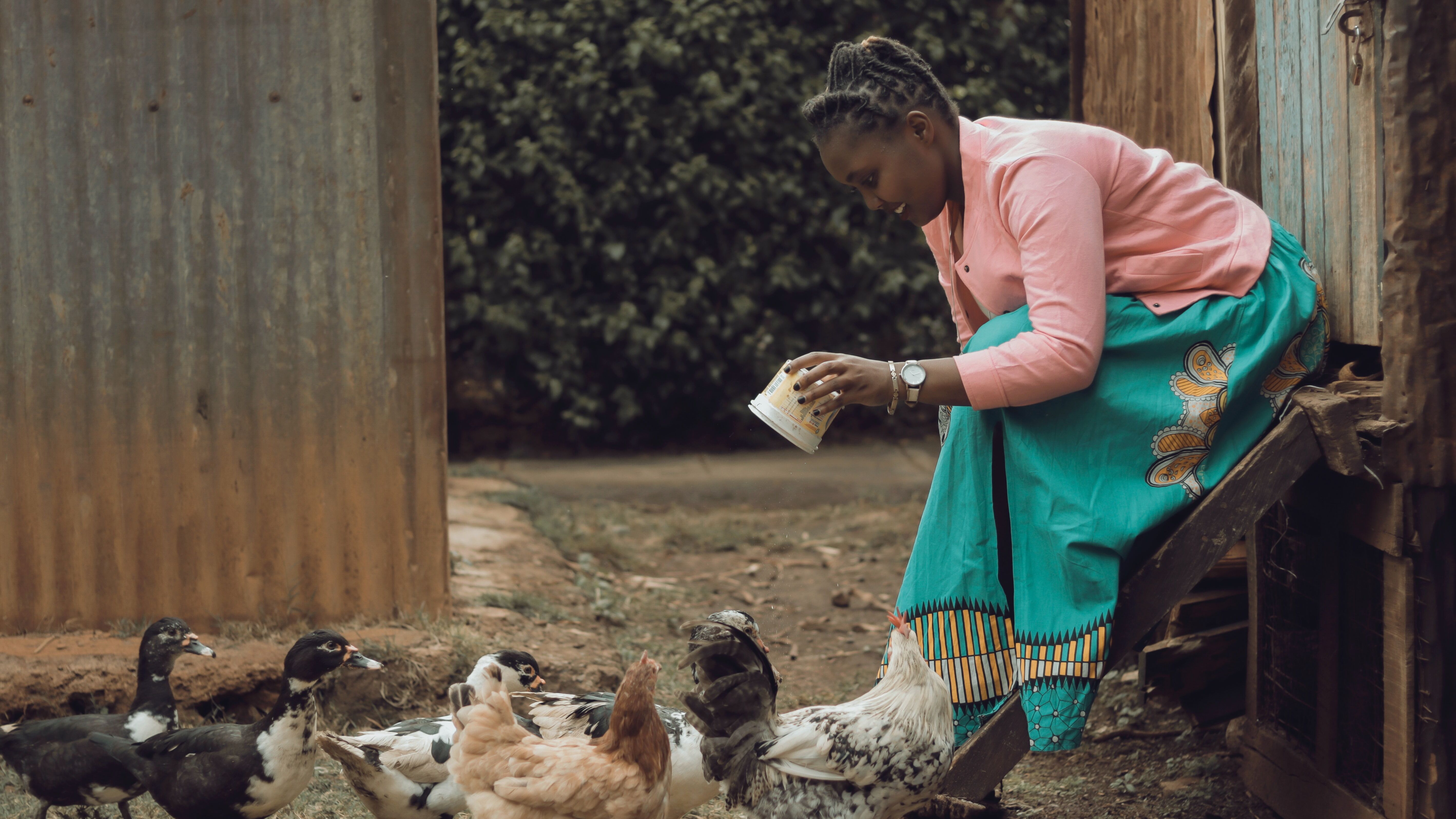 Basic course Poultry farming